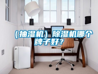 企業(yè)新聞（抽濕機）除濕機哪個牌子好？