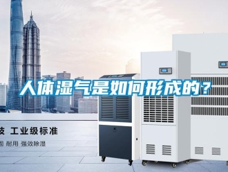 常見問題人體濕氣是如何形成的？