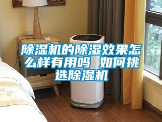 企業(yè)新聞除濕機的除濕效果怎么樣有用嗎 如何挑選除濕機