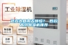 還在為回南天煩惱？ 四款高效除濕機推薦