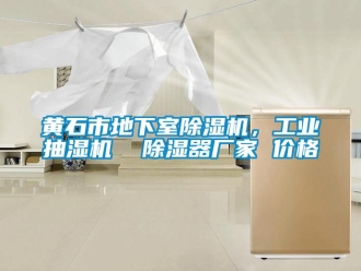 企業(yè)新聞黃石市地下室除濕機，工業(yè)抽濕機  除濕器廠家 價格