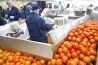 過(guò)量濕度對食品加工和倉儲的影響