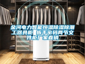 知識(shí)百科金河電力智能恒溫除濕除潮工器具柜 扳手密碼兩節(jié)文件柜廠家直銷