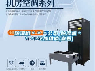 企業(yè)新聞除濕機＊＊＊公司-除濕機＊＊＊-飛旭維修(查看)