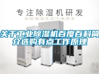 企業(yè)新聞關(guān)于工業(yè)除濕機(jī)百度百科簡介選購有點(diǎn)工作原理