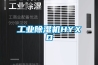 工業(yè)除濕機(jī)HYXD