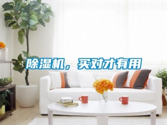 企業(yè)新聞除濕機，買對才有用