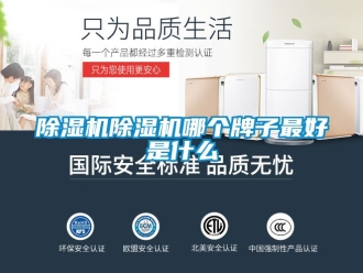 企業(yè)新聞除濕機(jī)除濕機(jī)哪個牌子最好是什么