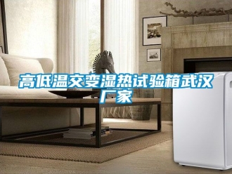 常見(jiàn)問(wèn)題高低溫交變濕熱試驗(yàn)箱武漢廠家