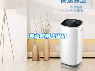 常見(jiàn)問(wèn)題黃山商用除濕機(jī)