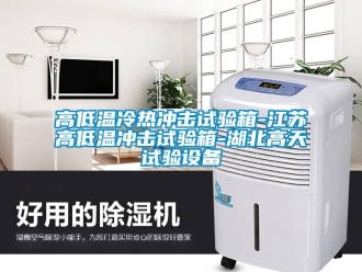 常見(jiàn)問(wèn)題高低溫冷熱沖擊試驗(yàn)箱-江蘇高低溫沖擊試驗(yàn)箱-湖北高天試驗(yàn)設(shè)備