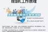 淺析新風(fēng)系統行業(yè)市場(chǎng)前景