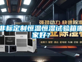 知識(shí)百科非標(biāo)定制恒溫恒濕試驗(yàn)箱哪家好？