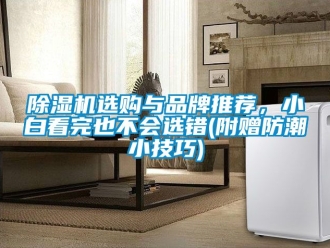 企業(yè)新聞除濕機(jī)選購(gòu)與品牌推薦，小白看完也不會(huì)選錯(cuò)(附贈(zèng)防潮小技巧)