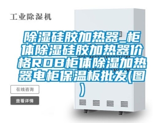 企業(yè)新聞除濕硅膠加熱器_柜體除濕硅膠加熱器價格RDB柜體除濕加熱器電柜保溫板批發(fā)(圖)