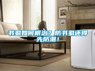 常見問題書虱如何根治？防書虱還得先防潮！