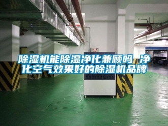 企業(yè)新聞除濕機(jī)能除濕凈化兼顧嗎 凈化空氣效果好的除濕機(jī)品牌