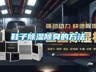 企業(yè)新聞鞋子除濕除臭的方法