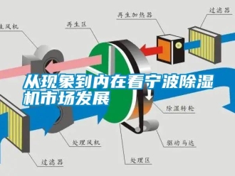 企業(yè)新聞從現(xiàn)象到內(nèi)在看寧波除濕機市場發(fā)展