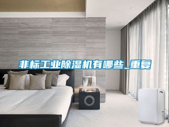 常見問題非標工業(yè)除濕機有哪些_重復