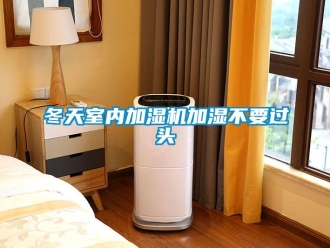 企業(yè)新聞冬天室內(nèi)加濕機(jī)加濕不要過頭