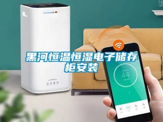 知識百科黑河恒溫恒濕電子儲存柜安裝