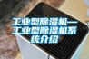 工業(yè)型除濕機—工業(yè)型除濕機系統介紹