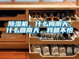 企業(yè)新聞除濕機，什么梅雨天，什么回南天，我都不怕。