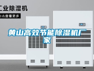 企業(yè)新聞黃山高效節(jié)能除濕機廠家