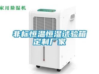 知識(shí)百科非標(biāo)恒溫恒濕試驗(yàn)箱定制廠家