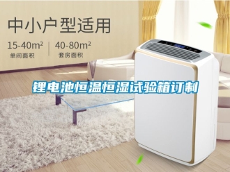知識(shí)百科鋰電池恒溫恒濕試驗(yàn)箱訂制