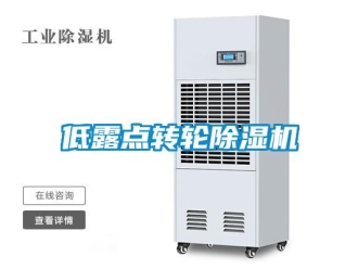 企業(yè)新聞低露點(diǎn)轉(zhuǎn)輪除濕機(jī)