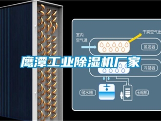 企業(yè)新聞鷹潭工業(yè)除濕機廠家