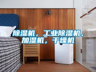常見問題除濕機(jī)，工業(yè)除濕機(jī)，加濕機(jī)，干燥機(jī)