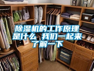 企業(yè)新聞除濕機(jī)的工作原理是什么 我們一起來了解一下