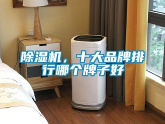企業(yè)新聞除濕機，十大品牌排行哪個牌子好