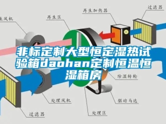 知識(shí)百科非標(biāo)定制大型恒定濕熱試驗(yàn)箱daohan定制恒溫恒濕箱房