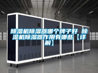 企業(yè)新聞除濕機(jī)除濕器哪個牌子好 除濕機(jī)除濕器作用有哪些【詳解】
