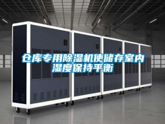 企業(yè)新聞倉庫專用除濕機(jī)使儲存室內(nèi)濕度保持平衡