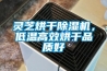 靈芝烘干除濕機，低溫高效烘干品質(zhì)好