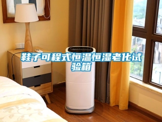知識(shí)百科鞋子可程式恒溫恒濕老化試驗(yàn)箱
