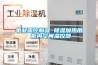 單凝露控制器 除濕加熱用 柜內空間溫控器