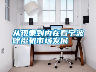 企業(yè)新聞從現(xiàn)象到內(nèi)在看寧波除濕機(jī)市場發(fā)展