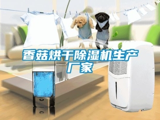企業(yè)新聞香菇烘干除濕機(jī)生產(chǎn)廠家