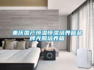知識百科重慶國產(chǎn)恒溫恒濕培養(yǎng)箱品牌光照培養(yǎng)箱