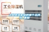 工業(yè)除濕機品牌哪個品牌好_重復(fù)