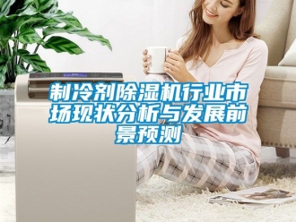 新聞資訊制冷劑除濕機(jī)行業(yè)市場(chǎng)現(xiàn)狀分析與發(fā)展前景預(yù)測(cè)