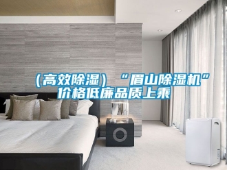 新聞資訊（高效除濕）“眉山除濕機(jī)”價(jià)格低廉品質(zhì)上乘