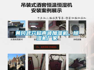 企業(yè)新聞黃岡武穴超聲波加濕機，除濕機廠家