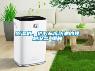 企業(yè)新聞除濕機，地下車庫防潮的理想設(shè)備_重復(fù)